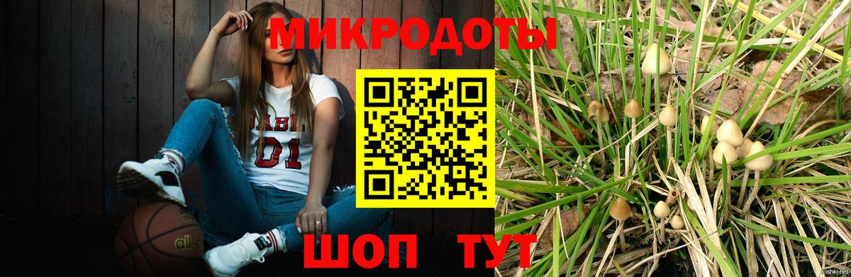 купить наркотики сайты  Псилоцибиновые грибы ЛСД  Галлюциногенные грибы Psilocybine cubensis  Вход с VPN  Лесной 