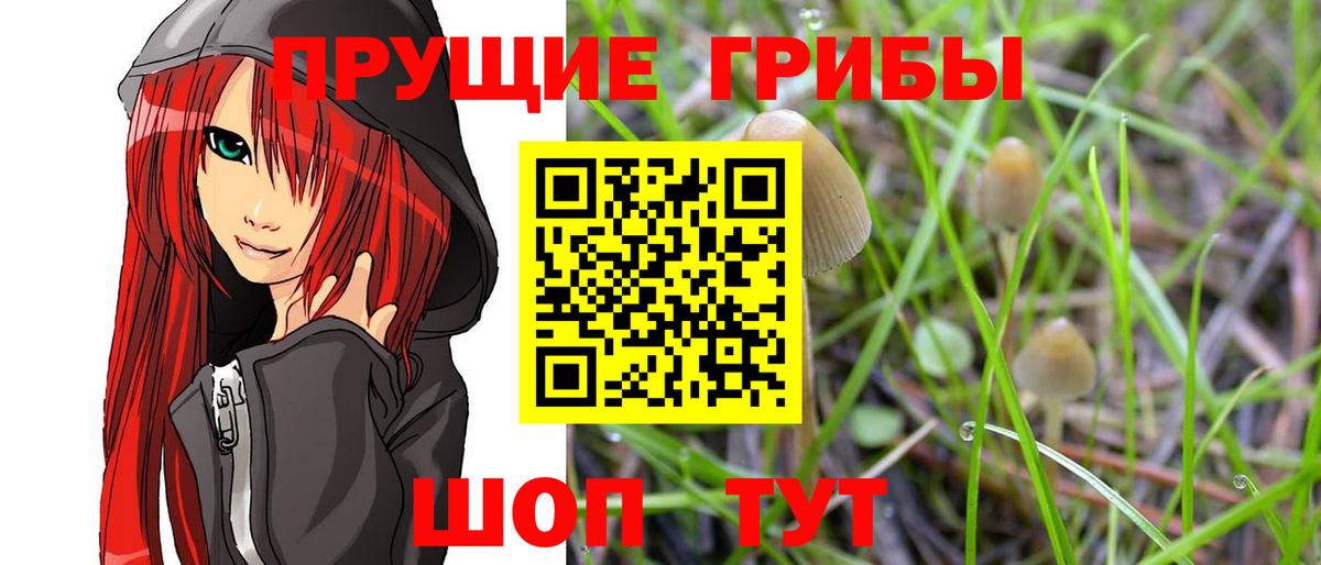 Галлюциногенные грибы MAGIC MUSHROOMS Лесной